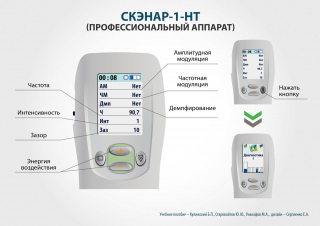 СКЭНАР-1-НТ (исполнение 01)  в Талдоме купить Медицинский интернет магазин - denaskardio.ru 